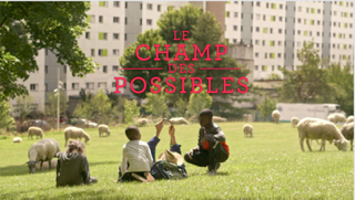 Reportage - Le champs des possibles